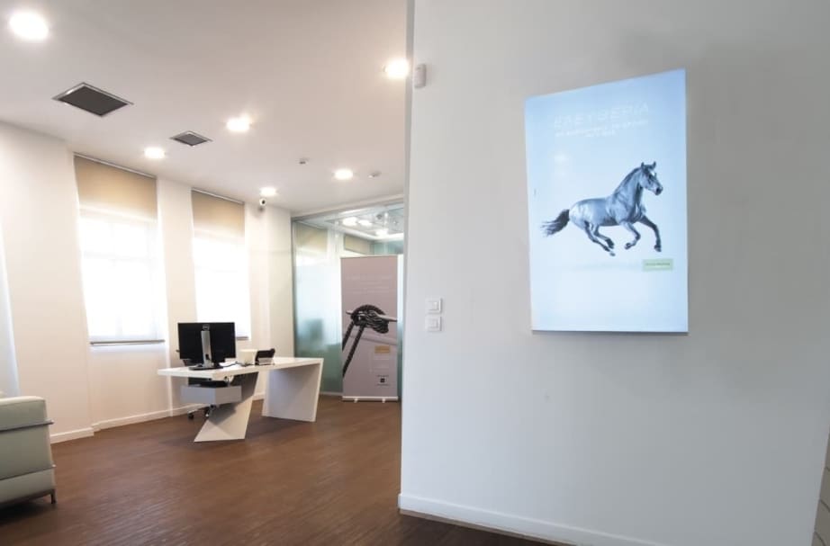Office with white desk and poster of horse running