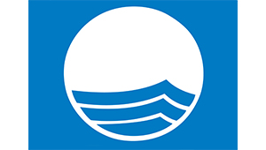 Blue Flag logo