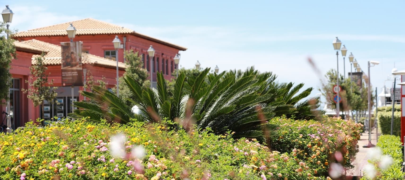 Photograph of flowers and bushes in front of red building Flisvos Athens Marina