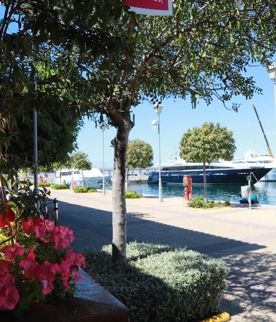 Parked yachts in front of promenade at Flisvos Marina, Athens